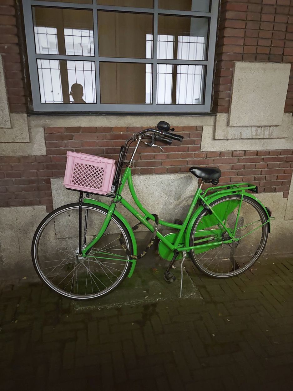 A green bicycle with a pink crate under a gridded window in an Amsterdam alley